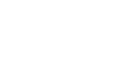 New Quality - Shows e Eventos Artisticos